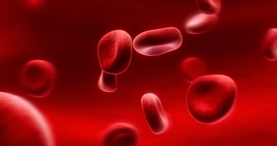 How to find out your blood type