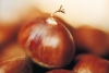 How to cook chestnuts?